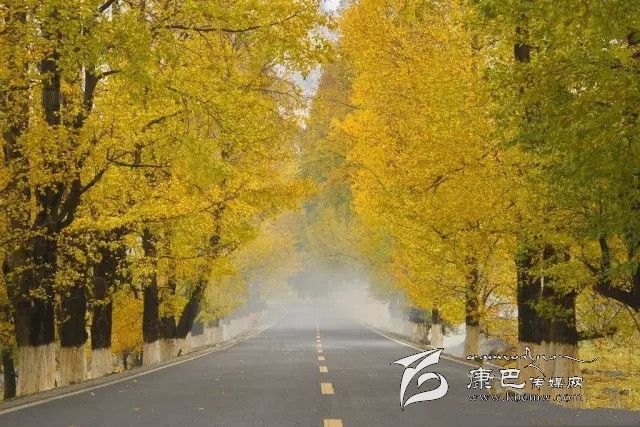 康定新都橋，有一條黃金大道通往夢中的天堂