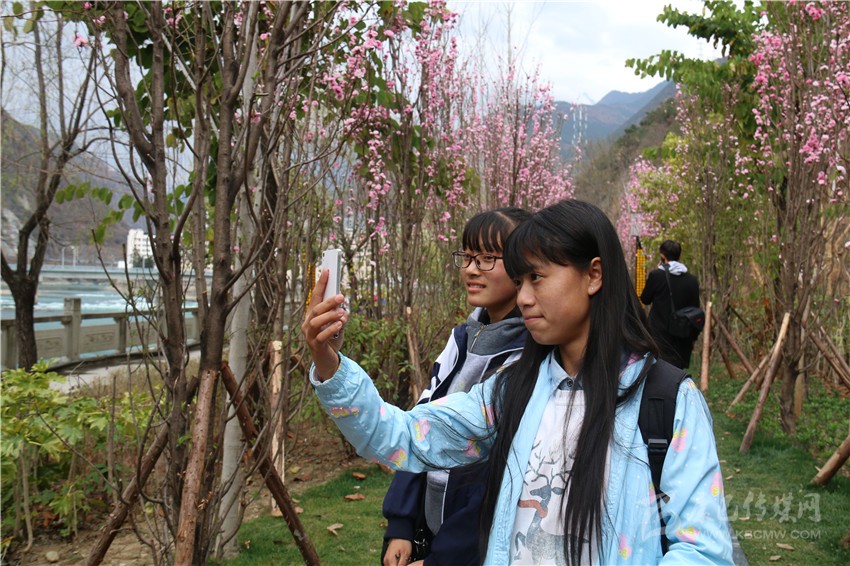 春光俏！“醉”是瀘定春三月，踏青賞花正當(dāng)時(shí)