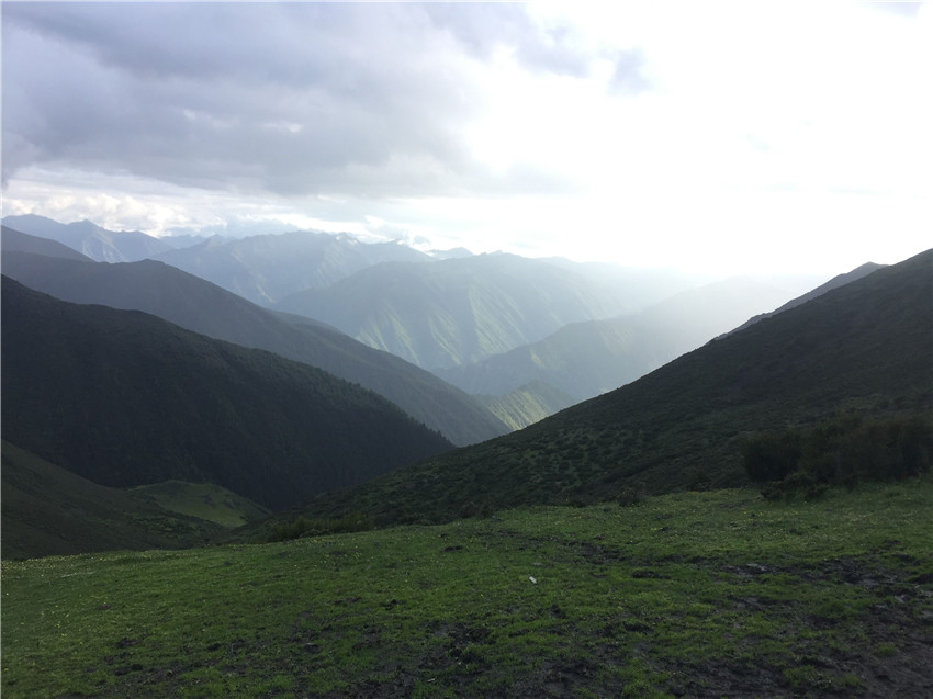 牧場(chǎng)遠眺。.jpg