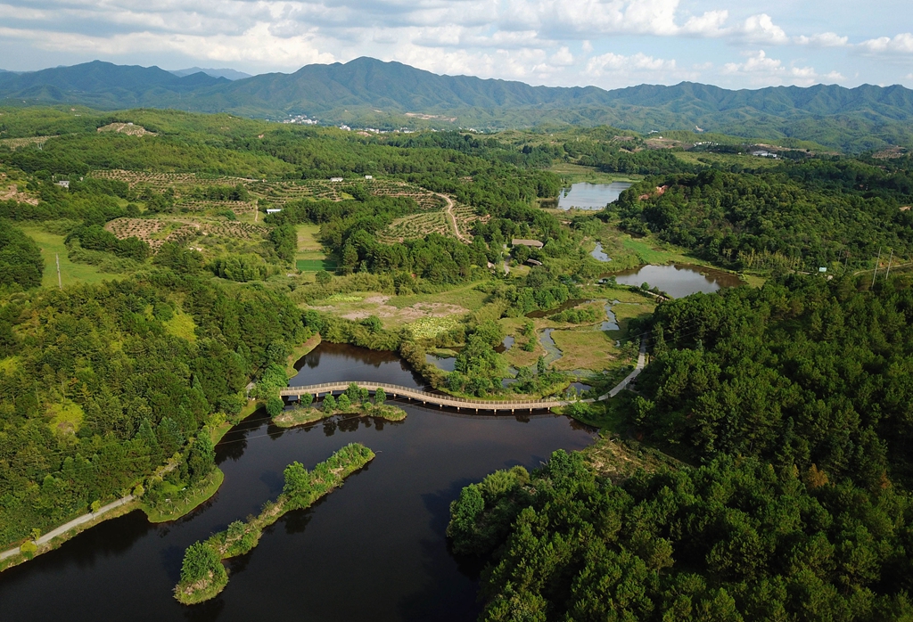 福建省龍巖市長(cháng)汀縣的長(cháng)汀汀江國家濕地公園景色（2020年7月28日攝，無(wú)人機照片）。新華社記者 魏培全 攝