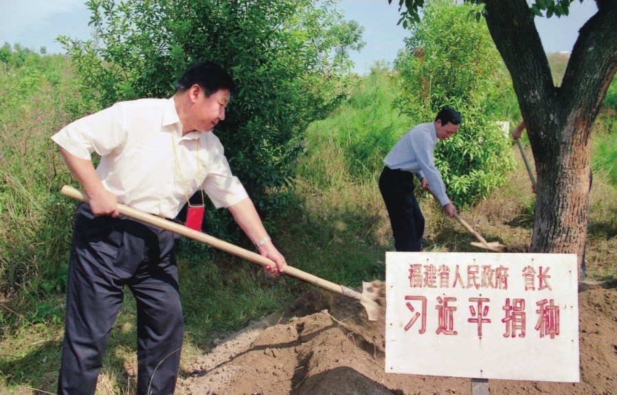 2001年10月，習近平在龍巖市長(cháng)汀縣調研水土流失治理工作，在河田世紀生態(tài)園為樹(shù)培土。圖源：《習近平在福建（下）》