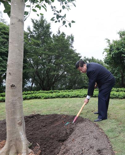 2012年12月7日至11日，習近平在廣東省考察工作。這是8日上午，習近平在深圳蓮花山公園種下一棵高山榕樹(shù)。新華社記者 蘭紅光 攝